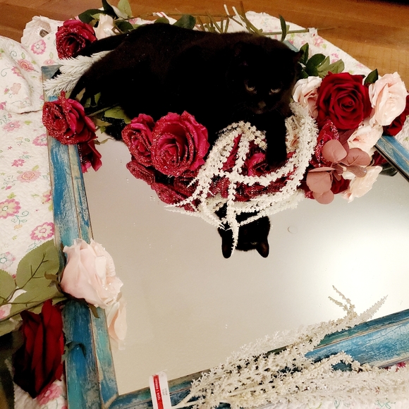 Meet your Posher, Stephanie - Picture 2 of 2